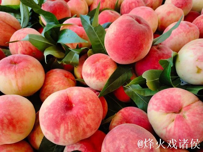 久久99国产精品久久99蜜桃